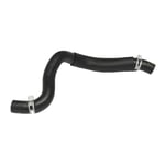 Lower Radiator Hose
