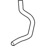 Lower Radiator Hose