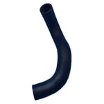 Lower Radiator Hose