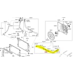 Upper Radiator Hose