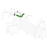 Hose Assembly-Radiator, Upper