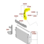 Lower Radiator Hose