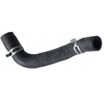 HOSE ASSY-RADAATOR,LWR