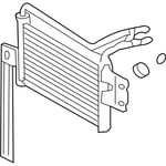 Cooler Assembly-Oil