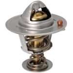 THERMOSTAT ASSY