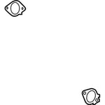 Exhaust Gasket