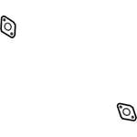 Exhaust Gasket