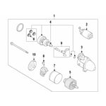 Starter Assembly