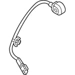 Sensor