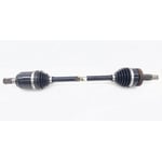 Axle boots F.L
