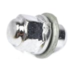 Wheel Hub Nut