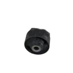 Front Lower Control Arm Bushing