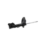 shock absorber F,L