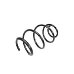 Front Spring