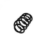 Front Spring