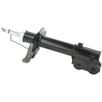 shock absorber F,L