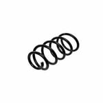 Rear Spring
