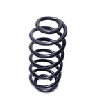 Rear Spring