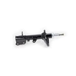 Rear Right Shock Absorber