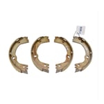 Rear Brake Shoes