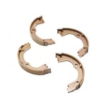 Rear Brake Shoes
