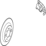 Disc-Rear Brake
