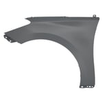 Fender F,L