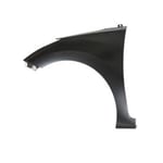 Fender F,L