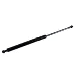 Left Hood Strut