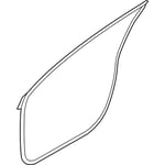 Left Front Door Seal