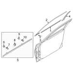 Weatherstrip Assembly-Front Door Belt Outside RH