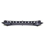 Grille Bumper
