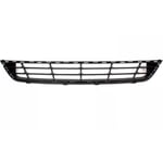 Grille Bumper