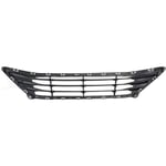 Grille Bumper