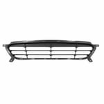 Grille Bumper