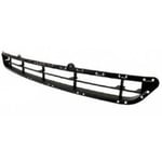 Grille Bumper