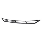 Grille Bumper