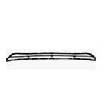 Grille Bumper