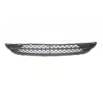 Grille Bumper
