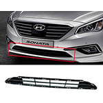 Grille Bumper