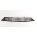 Grille Bumper