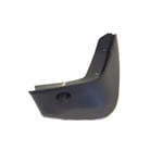 Right Rear Mudguard