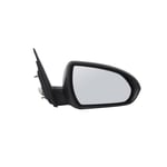 Right Side Mirror