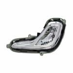Fog light F,L