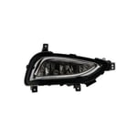 Right Front Fog Light