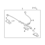 Lamp Assembly-License