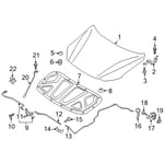 Switch Assembly-Hood