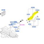 Upper Radiator Hose