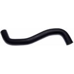 Lower Radiator Hose