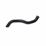 Hose-Radiator, Lower